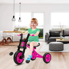 Explore and Learn: Extra Tall High Bounce Kids Tricycle for Ages 3-6