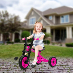 Explore and Learn: Extra Tall High Bounce Kids Tricycle for Ages 3-6