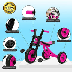 Explore and Learn: Extra Tall High Bounce Kids Tricycle for Ages 3-6